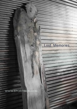 Lost Memories-Steel Background